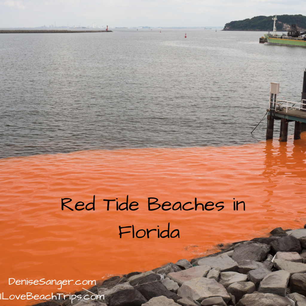 red tide beaches in florida
