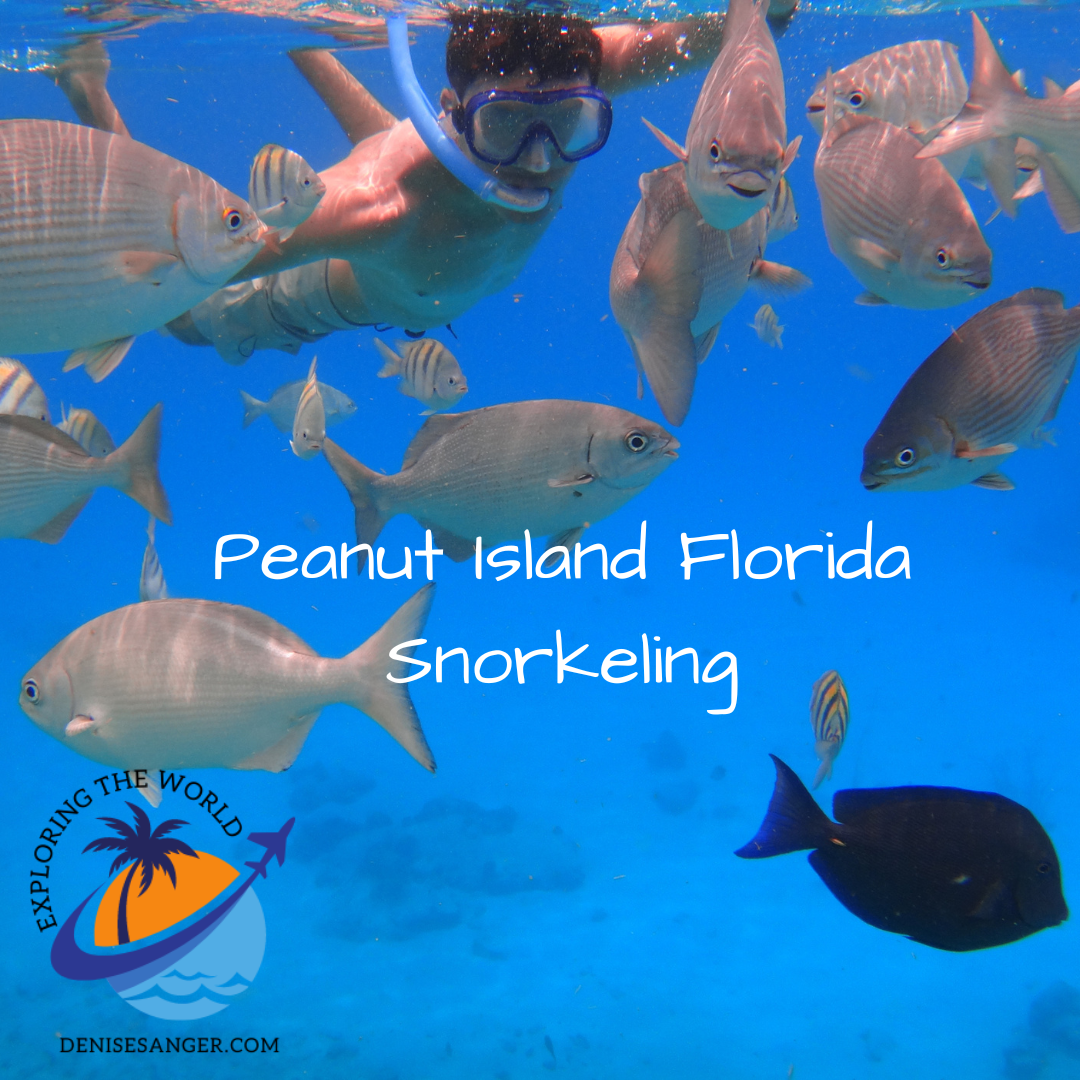 Fun with Peanut Island Florida snorkeling. Travel Florida Advice Blog