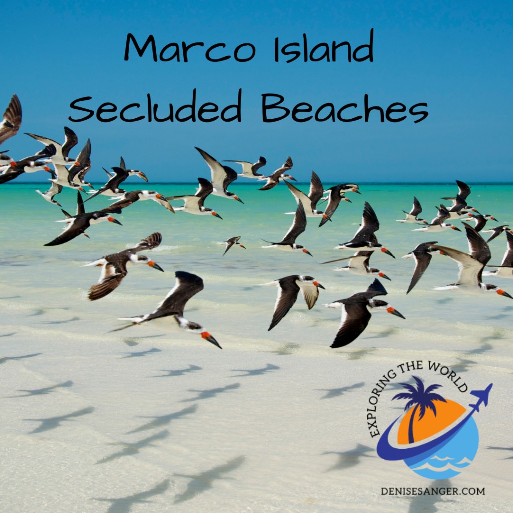 Secluded Marco Island Beaches