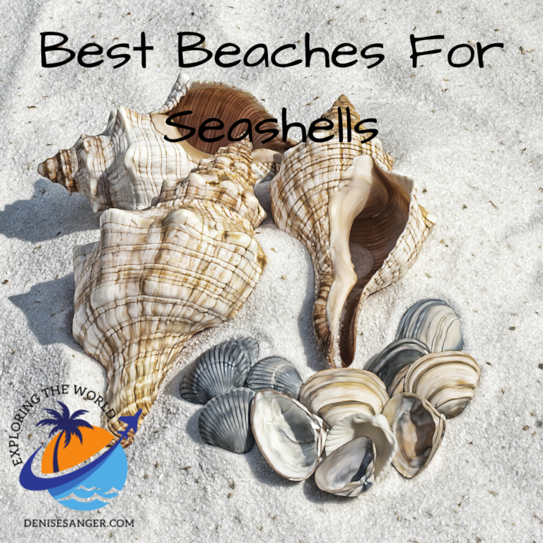 Best beaches for seashells in Florida. Best Florida Vacations From A