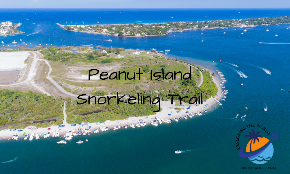 Peanut Island Florida snorkeling