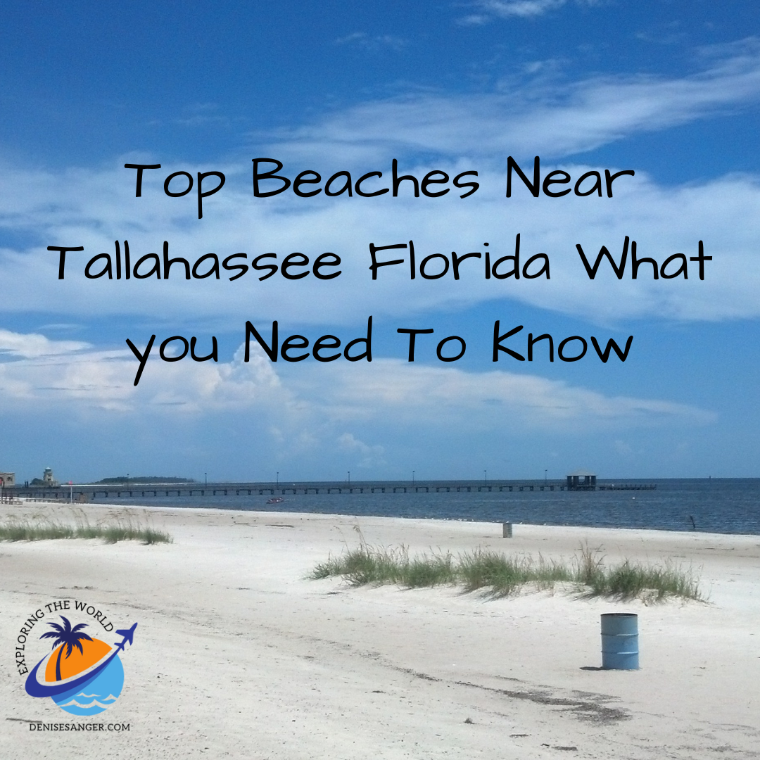 top-beaches-near-tallahassee-florida-what-you-need-to-know-travel