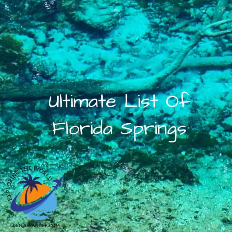 Ultimate List Of Florida Springs: Where to go and fun things to do.