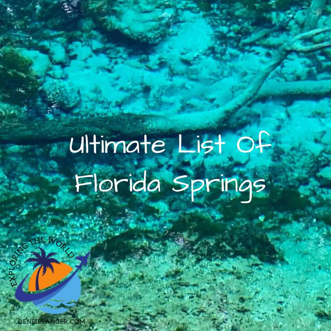 Ultimate List Of Florida Springs: Where to go and fun things to do