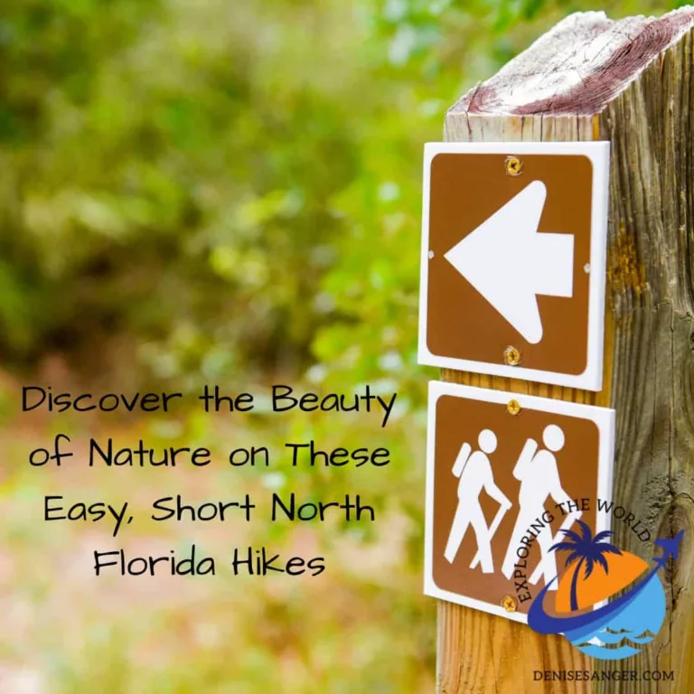 Discover the Beauty of Nature on These Easy, Short North Florida Hikes