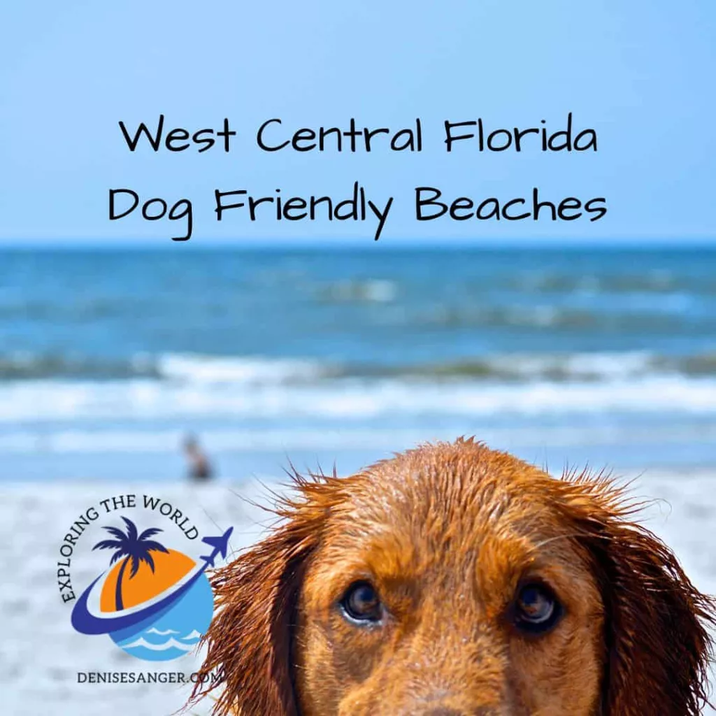 west central florida dog friendly beaches