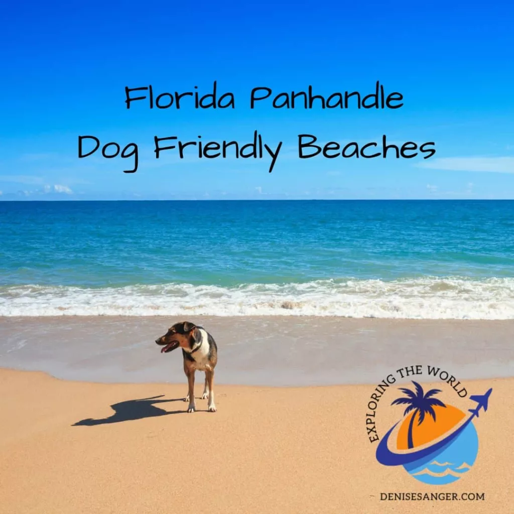 florida panhandle dog friendly beaches

