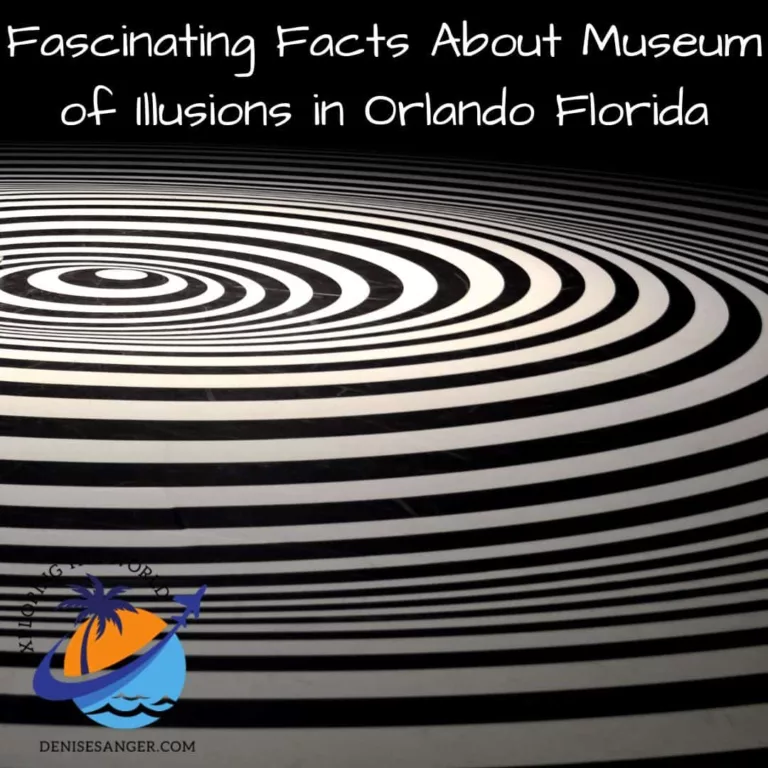 Fascinating Facts About Museum of Illusions in Orlando Florida