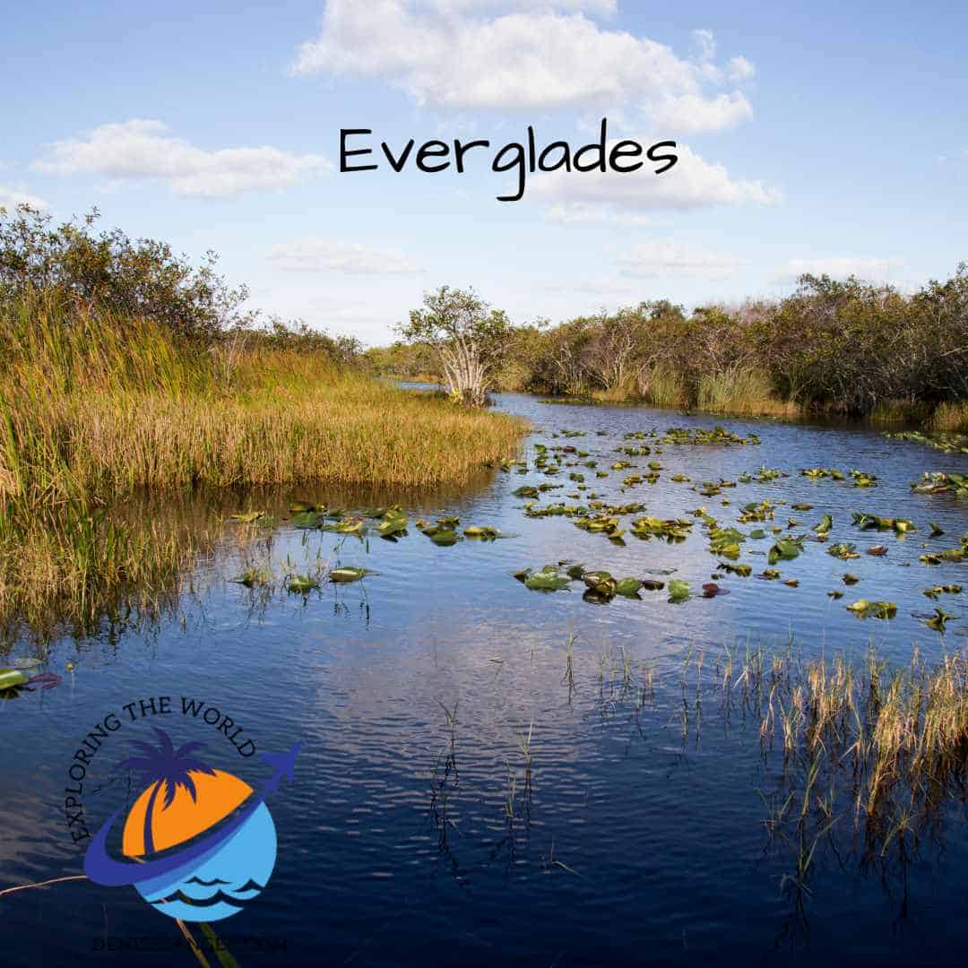 Best Places To See Alligators In Florida - Florida Travel Guide With A ...