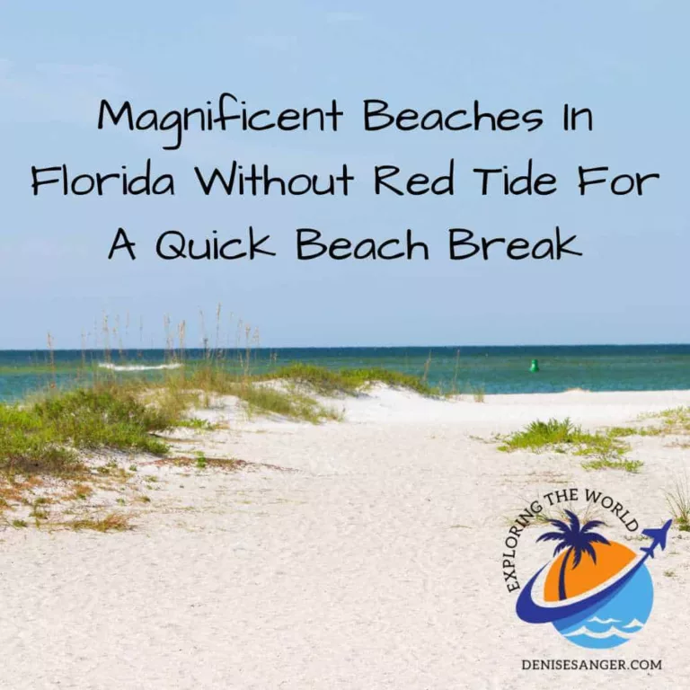 Magnificent beaches In Florida Without Red Tide For A Quick Beach Break