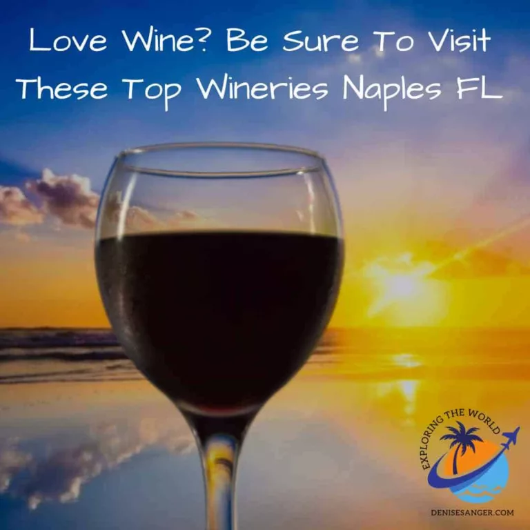 Love Wine? Be Sure To Visit These Top Wineries Naples FL