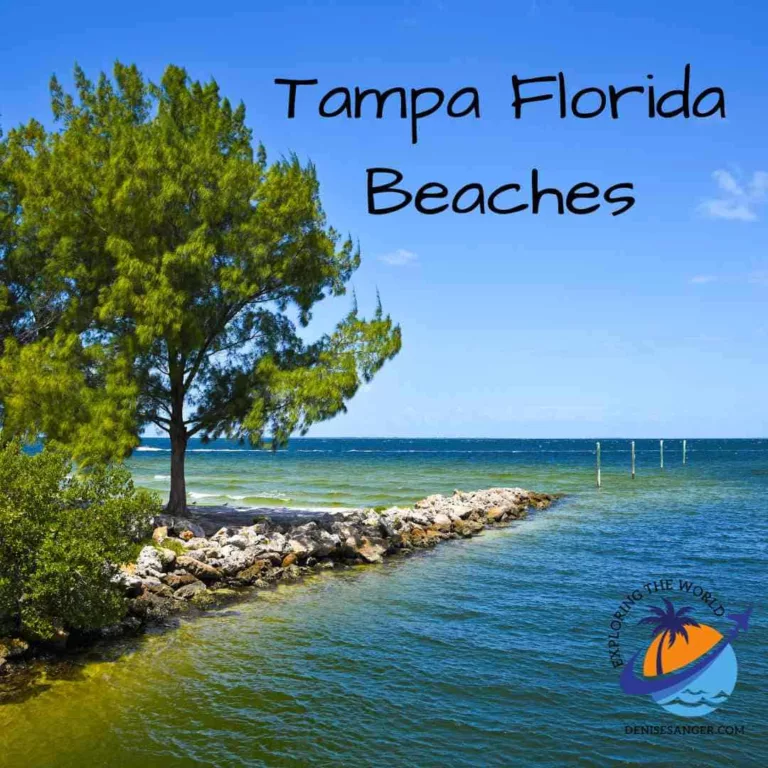 Tampa Florida Beaches: A Guide to Pristine Shorelines And A Wonderful Vacation