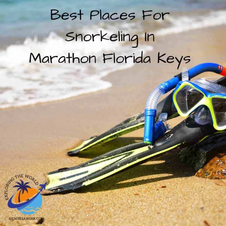 Best Places For Snorkeling In Marathon Florida Keys