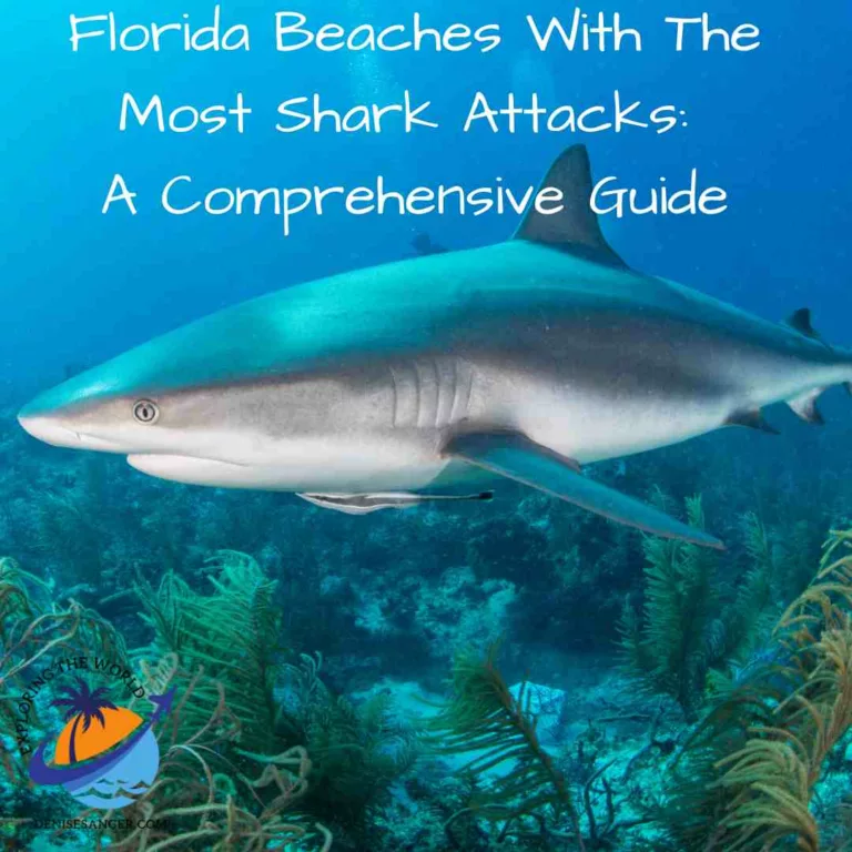 Florida Beaches With The Most Shark Attacks: A Comprehensive Guide
