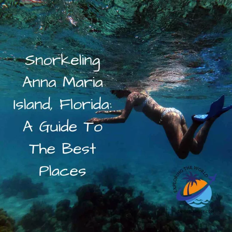 Snorkeling Anna Maria Island, Florida: A Guide To The Best Places