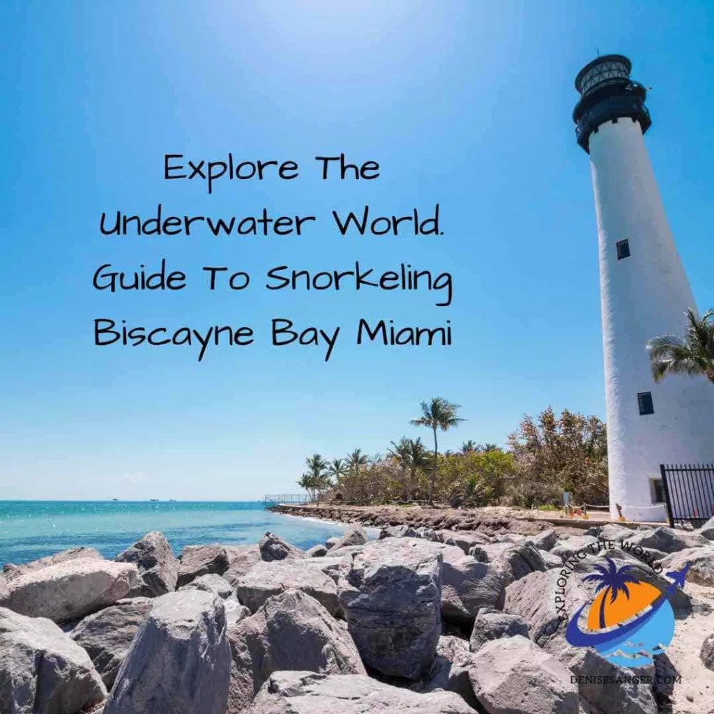 Explore The Underwater World. Guide To Snorkeling Biscayne Bay Miami