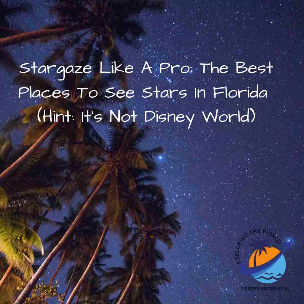 Stargaze Like A Pro: The Best Places To See Stars In Florida (Hint: It's Not Disney World)