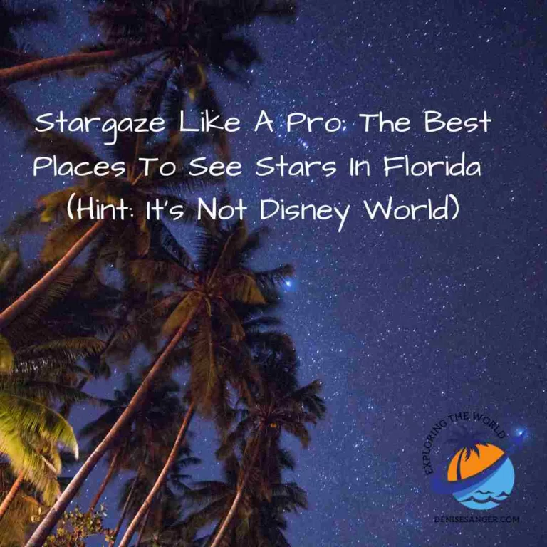 Stargaze Like A Pro: The Best Places To See Stars In Florida