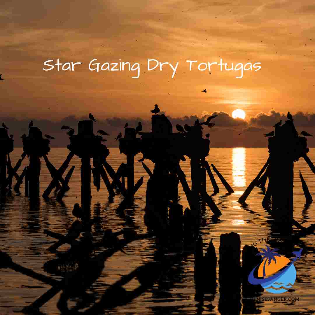 Star Gazing Dry Tortugas