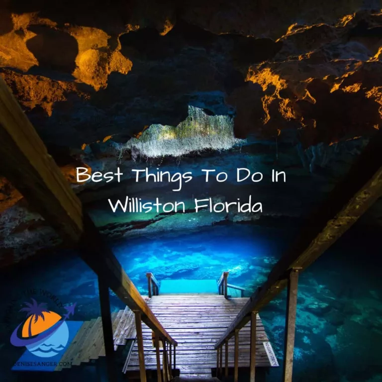 Discover The Best Things To Do In Williston Florida