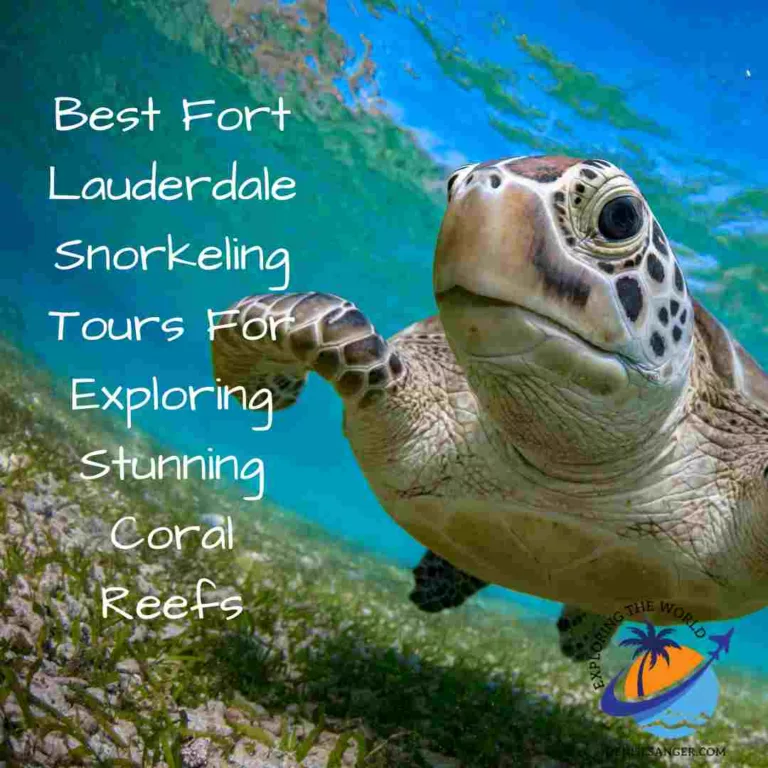 Best Fort Lauderdale Snorkeling Tours For Exploring Stunning Coral Reefs