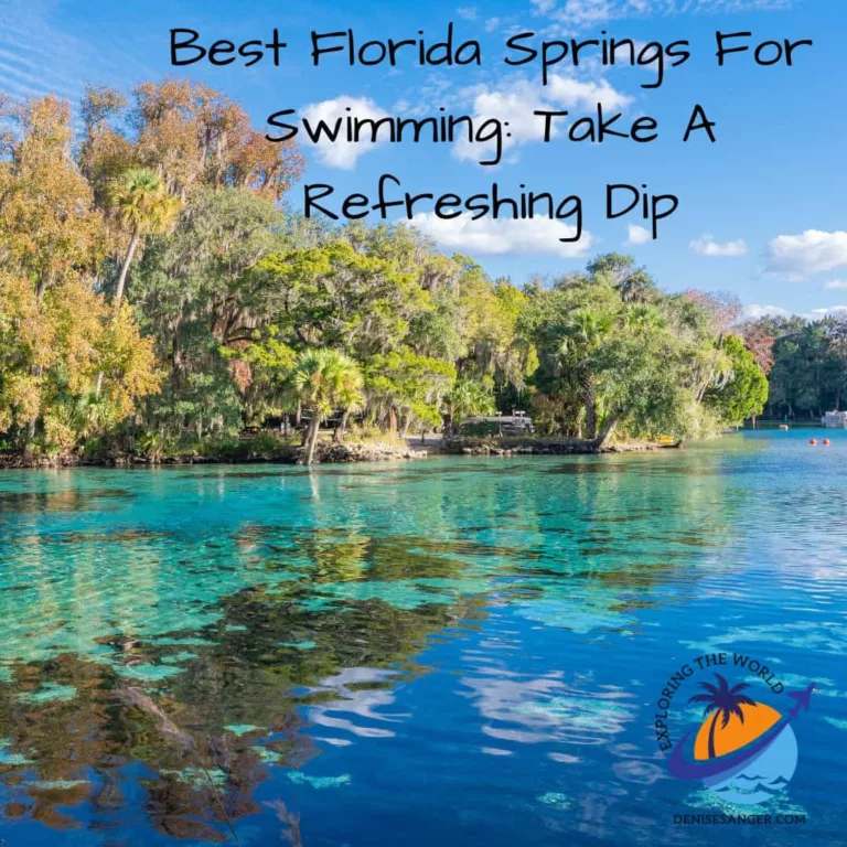 Best Florida Springs For Swimming: Take A Refreshing Dip