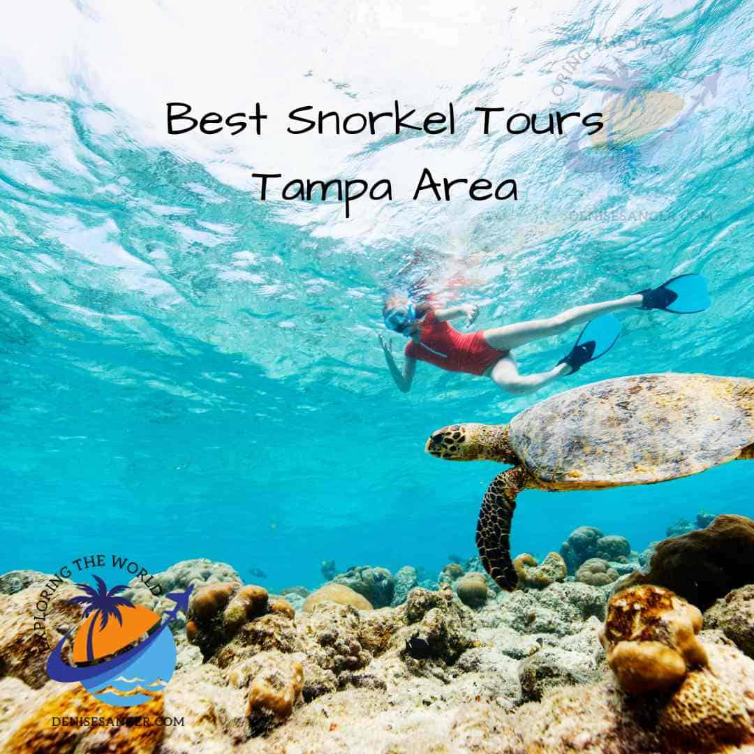 The Best Tampa Snorkeling Tours for an Underwater