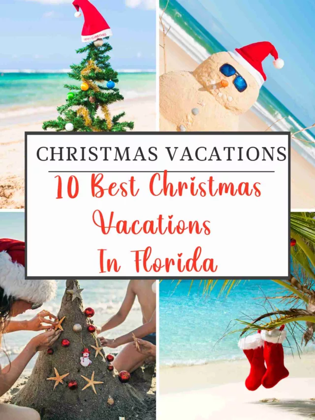 10 Best Christmas Vacations In Florida Florida Trips For Women