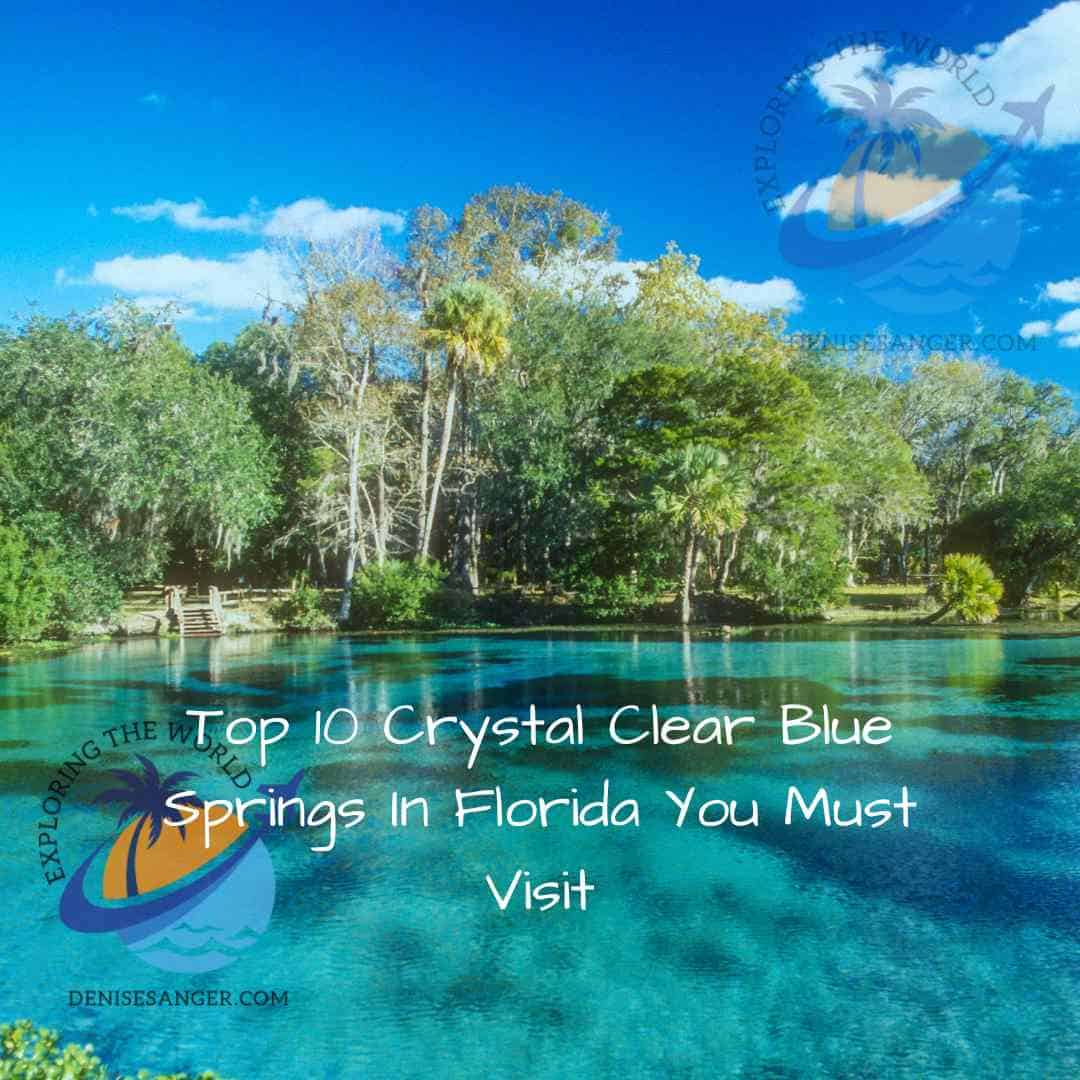 Top 10 Crystal Clear Blue Springs In Florida You Must Visit Travel
